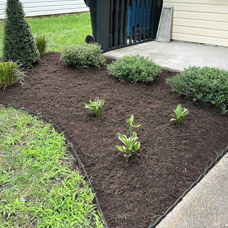 Gallery of Professional Landscaping Projects in Virginia Beach, VA-Natural Landscaping (17)