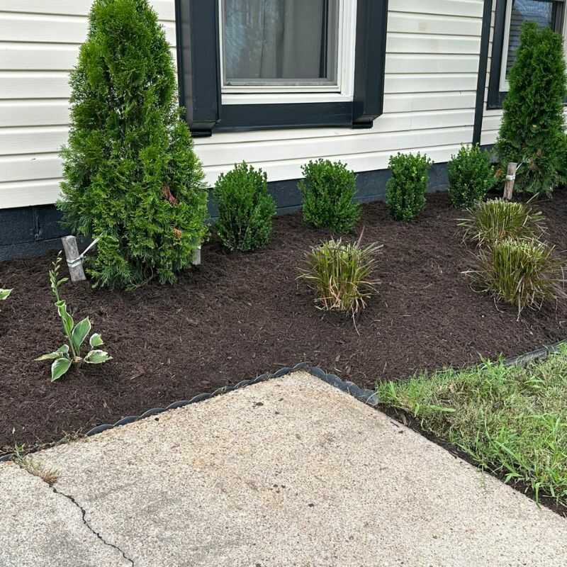 Gallery of Professional Landscaping Projects in Virginia Beach, VA-Natural Landscaping (19)